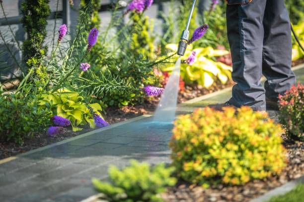 Best Gutter Cleaning  in Gilcrest, CO